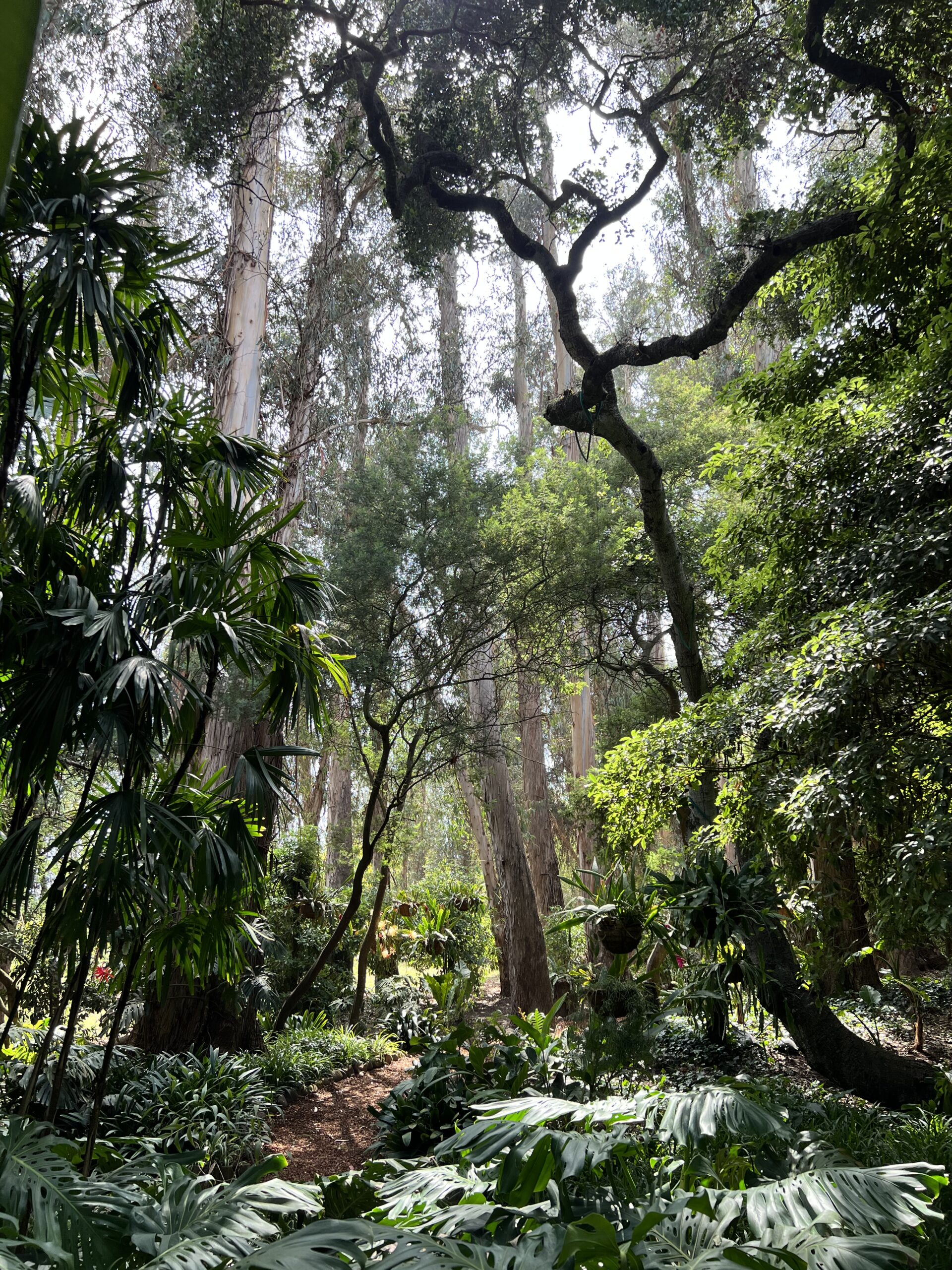 Lotusland Botanic Garden